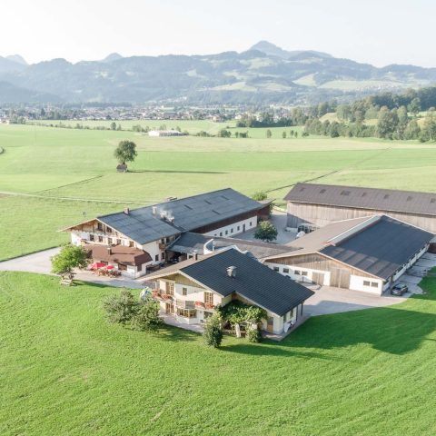 DJI_0321_2000